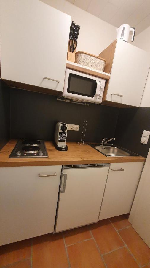 Appartements Mayr Inklusive Ganzjaehrig Gratis Zugang Zur Alpentherme Und Im Sommer Kostenlose Bergbahnnutzung Бад-Гофгаштайн Екстер'єр фото