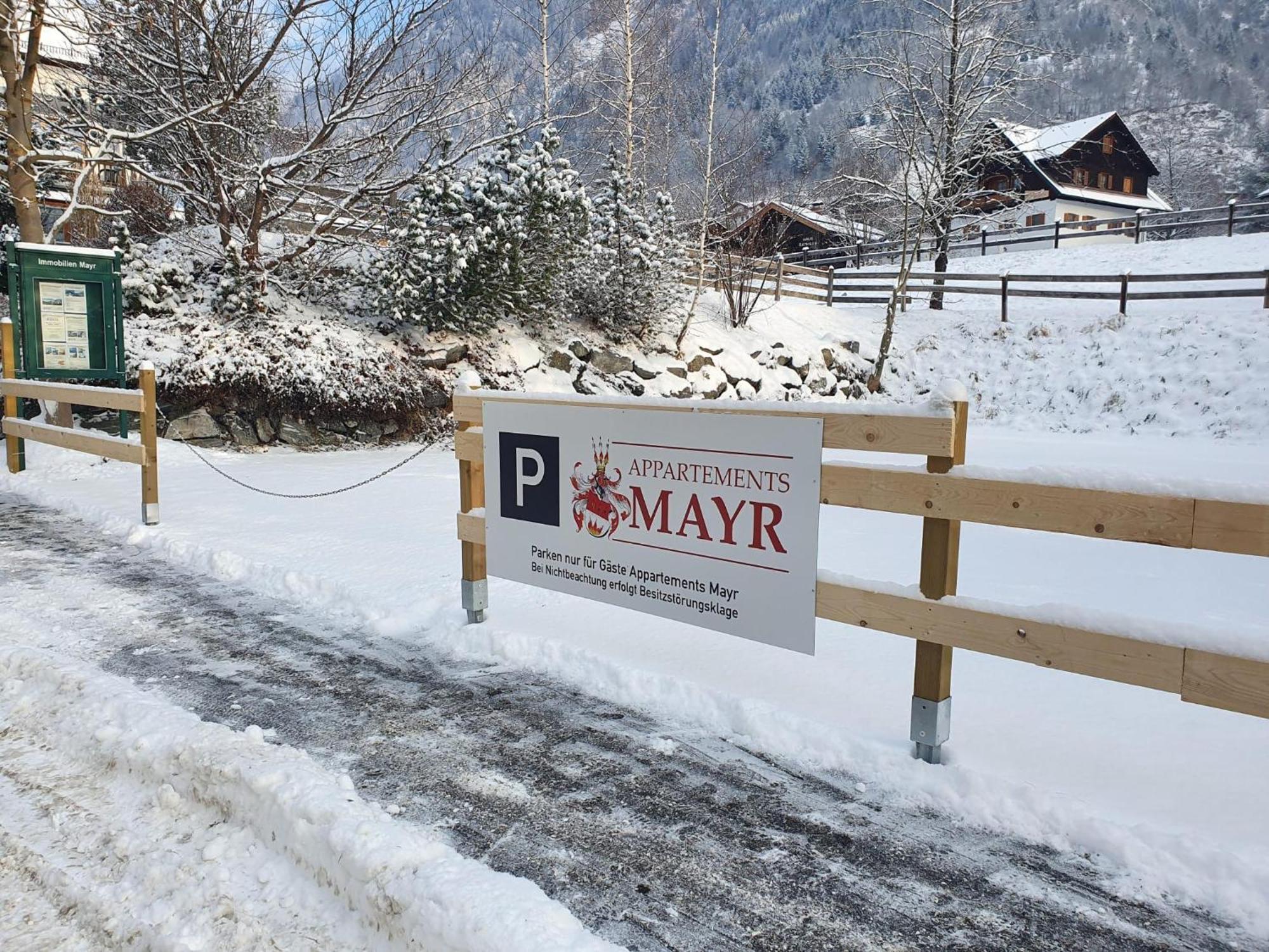 Appartements Mayr Inklusive Ganzjaehrig Gratis Zugang Zur Alpentherme Und Im Sommer Kostenlose Bergbahnnutzung Бад-Гофгаштайн Екстер'єр фото